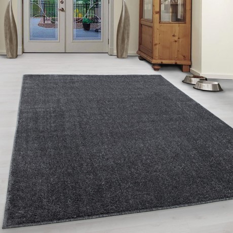 Przejdź do produktu Dywan jednolity Ata szary 120 cm x 170 cm  