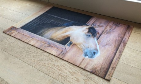 Przejdź do produktu Wycieraczka Deco Star Konik 50 cm x 80 cm