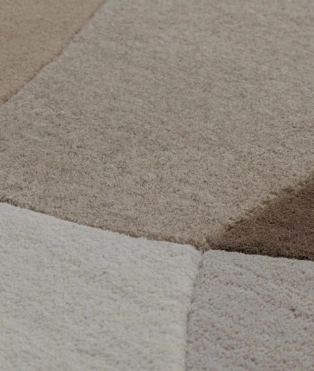 66037